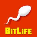 Exploring Store Management in BitLife