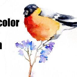 Live streaming watercolor class Funny Fall Bird on Twig | TheArtSherpa