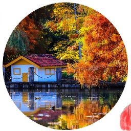 How to paint Fall tree on a lake with Cabin  Live streaming tutorial | TheArtSherpa