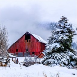 Red Winter Barn landscape  acrylic painting tutorial step by step | TheArtSherpa