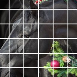 Pre Show Grid  Black Christmas Stallion