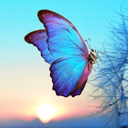 Healing Easy butterfly sunrise and Dandylion Acrylic painting tutorial  | TheArtSherpa