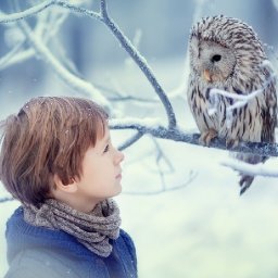 Boy and owl Talking in Snow Acrylic Painting Tutorial Narnia inspired | TheArtSherpa