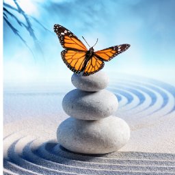 Power Patron Jan live stream Butterfly on Zen stones (links will be on your dashboard)