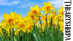 Daffodil Flower painting for Beginners step by step Acrylic tutorial  | TheArtSherpa
