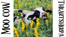 Funny Cow in Sunflowers Step by step Acrylic Painting tutorial | TheArtSherpa