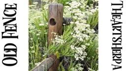 Rustic Wood Fence