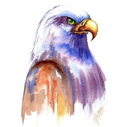 Easy Eagle  How to Paint Watercolor Step by step | The Art Sherpa