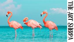 TROPICAL FLAMINGOS Beginners Learn to paint Acrylic Tutorial Step by Step