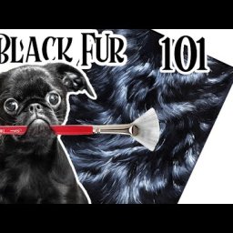 How to paint Black Fur 101| Acrylic Techniques| Everything you need to know BAQ21
