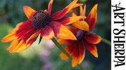 FALL DAISY FLORAL Beginners Learn to paint Acrylic Tutorial Step by Step