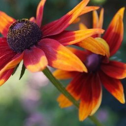 FALL DAISY FLORAL Beginners Learn to paint Acrylic Tutorial Step by Step