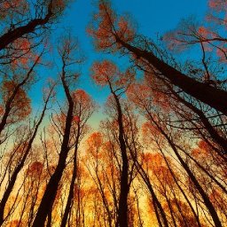 SUNSET IN AUTUMN TREES Beginners Learn to paint Acrylic Tutorial Step by Step