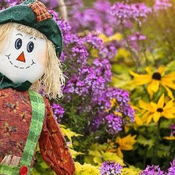 CUTE SCARECROW FALL GARDEN  Beginners Learn to paint Acrylic Tutorial Step by Step