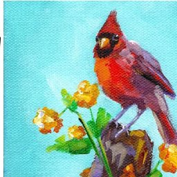 RED CARDINAL BIRD | Beginners Acrylic Tutorial Step by Step | The Painted Bird Hop