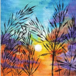 Promo for colorful grasses  at sunset