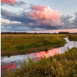 SUNSET STREAM LANDSCAPE Beginners Learn to paint Acrylic Tutorial Step by Step