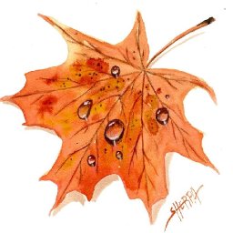 How to paint realistic Water Drops on a Fall leaf in Watercolor Step by step | The Art Sherpa