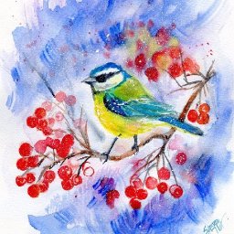 Blue Tit Bird with Berries in Snow Easy How to Paint Watercolor Step by step | The Art Sherpa