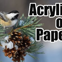 Bird in Winter pine Branch Beginners Acrylic on paper like Watercolor  Tutorial Step by Step