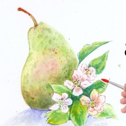 Pear with Flowers Easy How to Paint Watercolor Step by step | The Art Sherpa