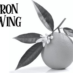 Patron Only Drawing Class # 2 (Video link is on your dashboards)