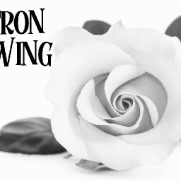 Patron Only Drawing Class #3 (Video link is on your dashboards)