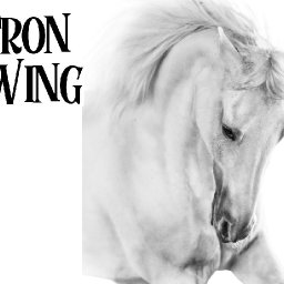 Patron Only Drawing Class # 4 (Video link is on your dashboards)