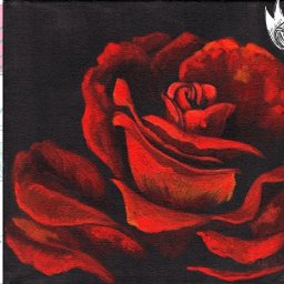 Red Rose  Easy Acrylic Tutorial Step by Step Day 7   #AcrylicApril2022