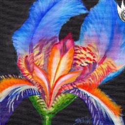 Close up Iris flower 🌺🌸🌼 Easy Acrylic Tutorial Step by Step Day 15   #AcrylicApril2022
