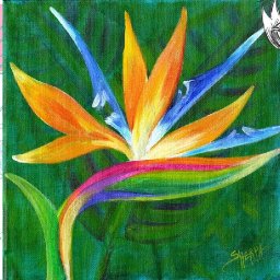 How to paint a Bird of Paradise Flower 🌺🌸🌼 Easy Acrylic Step by Step Day 19   #AcrylicApril2022