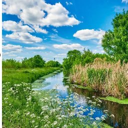 Green Summer Landscape Reflections in Stream 🌺🌸🌼 Acrylic painting Tutorial step by step