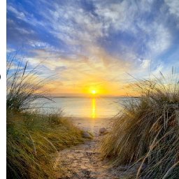 SeaGrass Sunset Beach  Acrylic painting Tutorial Step by Step   #AcrylicTutorial