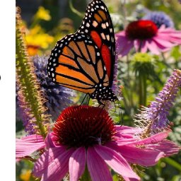 Garden Flowers and Butterfly  Acrylic painting Tutorial Step by Step   #AcrylicTutorial