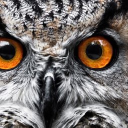 Owl Eyes and feathers  😈🧙‍♀️🕷 13 Days of Halloween  Acrylic painting Tutorial Step by Step