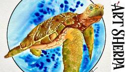 Easy How to Paint a Sea turtle Line and Wash  Watercolor Step by step | The Art Sherpa