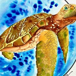 Easy How to Paint a Sea turtle Line and Wash  Watercolor Step by step | The Art Sherpa