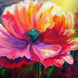 Glowing Poppy  How to paint light in acrylic for beginners: Paint Night at Home