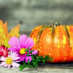 Autumn Fall leaves pumpkin Floral Still life  paint acrylics for beginners: Paint Night at Home