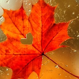 Fall Autumn Leaf on a Rainy Window  How to paint acrylics for beginners: Paint Night at Home