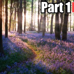 How to paint Bluebell Forest landscape  PART 1 🌲🪻  Live Streaming Step by Step  | How to start