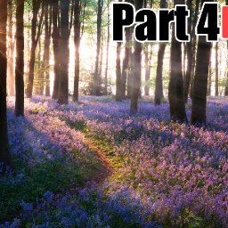 Bluebell Forest landscape PART 4 🌲🪻🌞 Live Streaming Step by Step | Adding Sun flare and Flowers