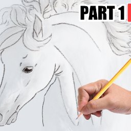 How to Draw the White horse on  paper in Acrylic PART 1 🌟🎨 Techniques and Drawing