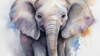 Zoom Watercolor Elephant 