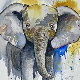 patron Elephant watercolor step by step