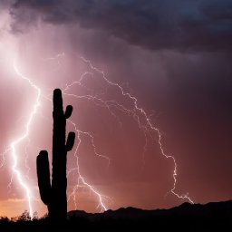 lightening and desert Cactus 🌟🎨 How to paint acrylics for beginners: Paint Night at Home