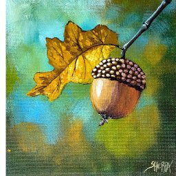 Acorn  How to Draw and Paint tutorial for Beginners