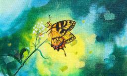 Butterfly and Bokeh effect Beginner Step by step acrylic painting tutorial