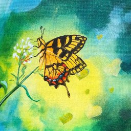 Butterfly and Bokeh effect Beginner Step by step acrylic painting tutorial