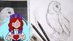 Beginner How to Draw Barn Owl Tutorial